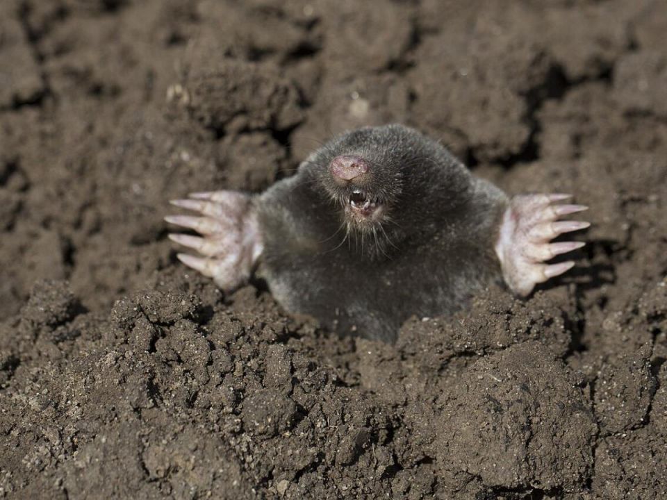 ��� ���������� �� ������ ��� � ��������: ������� ������ ��� ��������