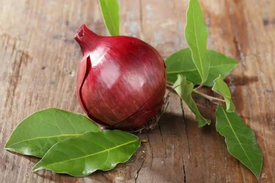 ������������� ����: �������, ������� ������� ���� ����� ���������