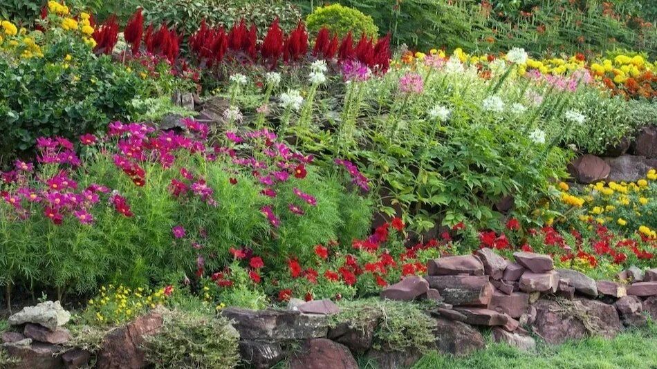 ��� ������� ������: ������� ������������ �������� �� ���������