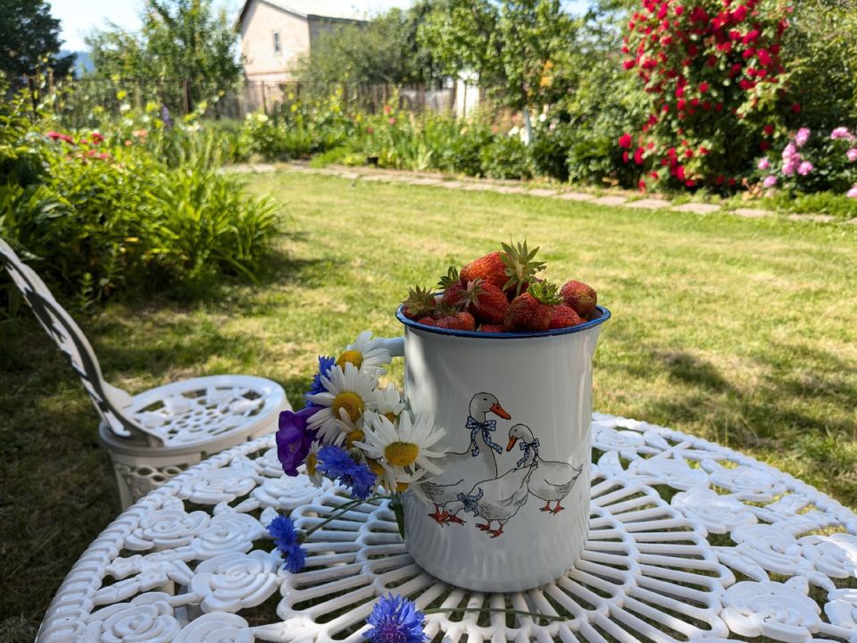 ��� ������������ ������� �������� �� ����: ������� ���������� ����