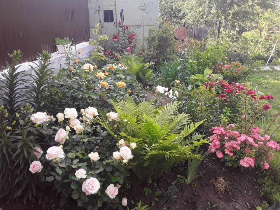 �� ������ ������� � ����� ���������: ��� �������� ��� ��������