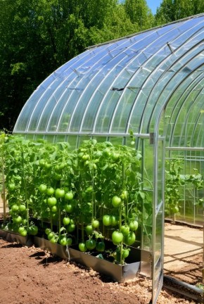 Выбор идеальной теплицы для вашего огорода