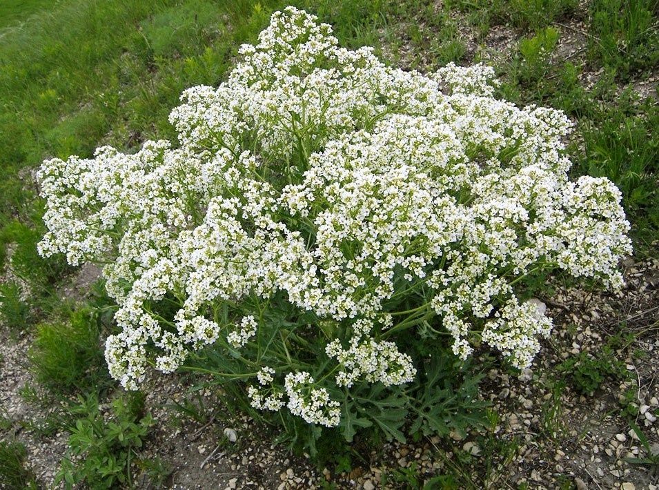 ������: ���������� ���������� ����� ��� ������ �������