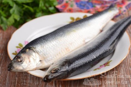 ����� ��������, ���� ����� �����������: ��� ������������ ����� �� �������