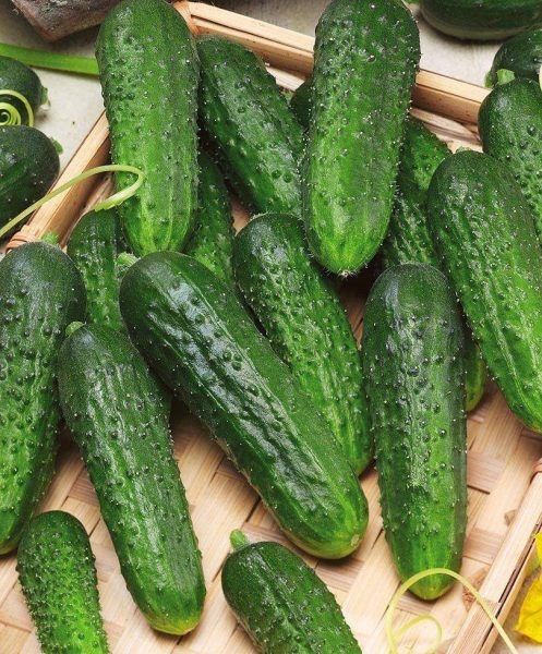 ���������� ������ ������ ��������: �� � ��������� ������ � �� �����������