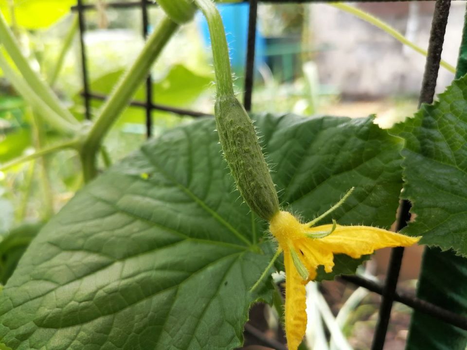 ������ ������ ������� ������ ���� � ��� ������ ������ ������