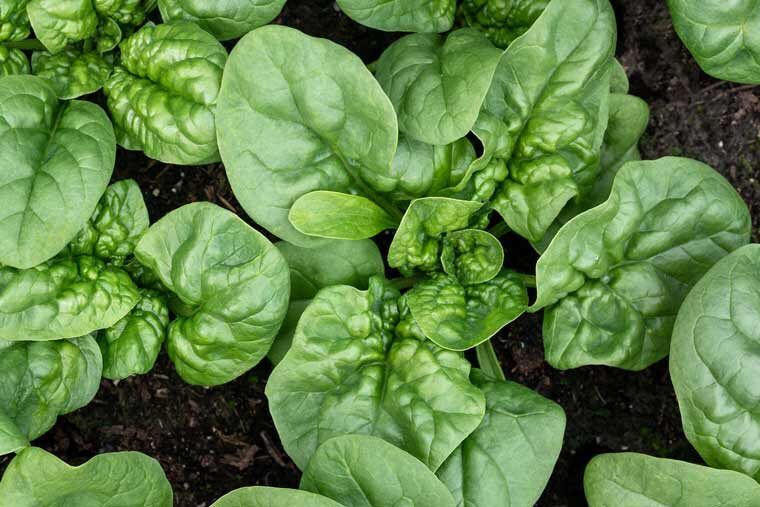 ������: �������� ��� ������ ������� � ��������