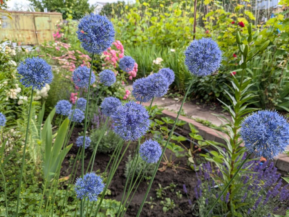 �������� ��������: ��� ���������� � �������� ������������ � ����� � ��� �� ���������?