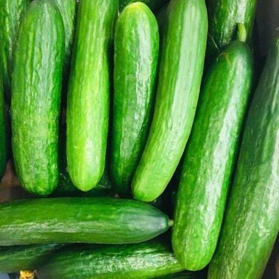 ������ ���� ����: ��������� ����� ��� ������ �������