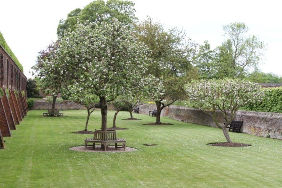 ����������� ������� ��� ������ ����