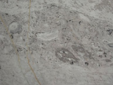 ��� ���������� ��������� �����: ������ �� �����