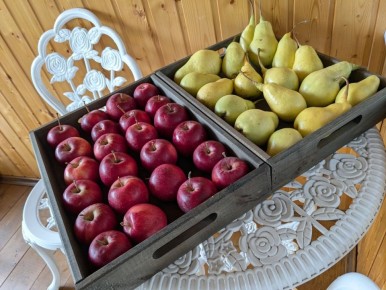 �����-�������: ��� ������� ������ �� ���� ��������