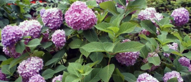 ������� �������� ������� ��������� � ����� ����