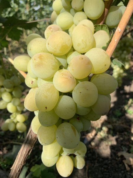 �������� ������: ������ ������ � ��������� ������ � �������� ���������