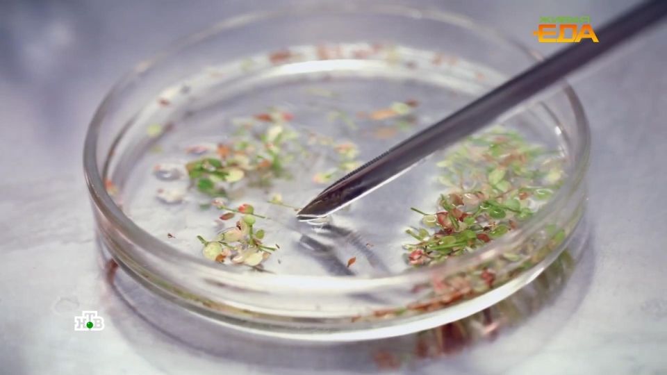 ���: ���� � ����� � ���, ��������� � ��������