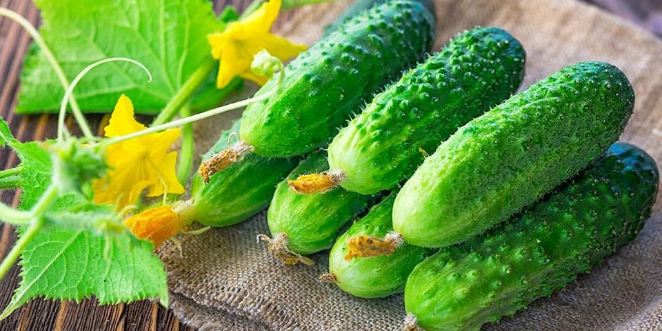 ������ ������: ������� ���������� ������ � ������ �� �����