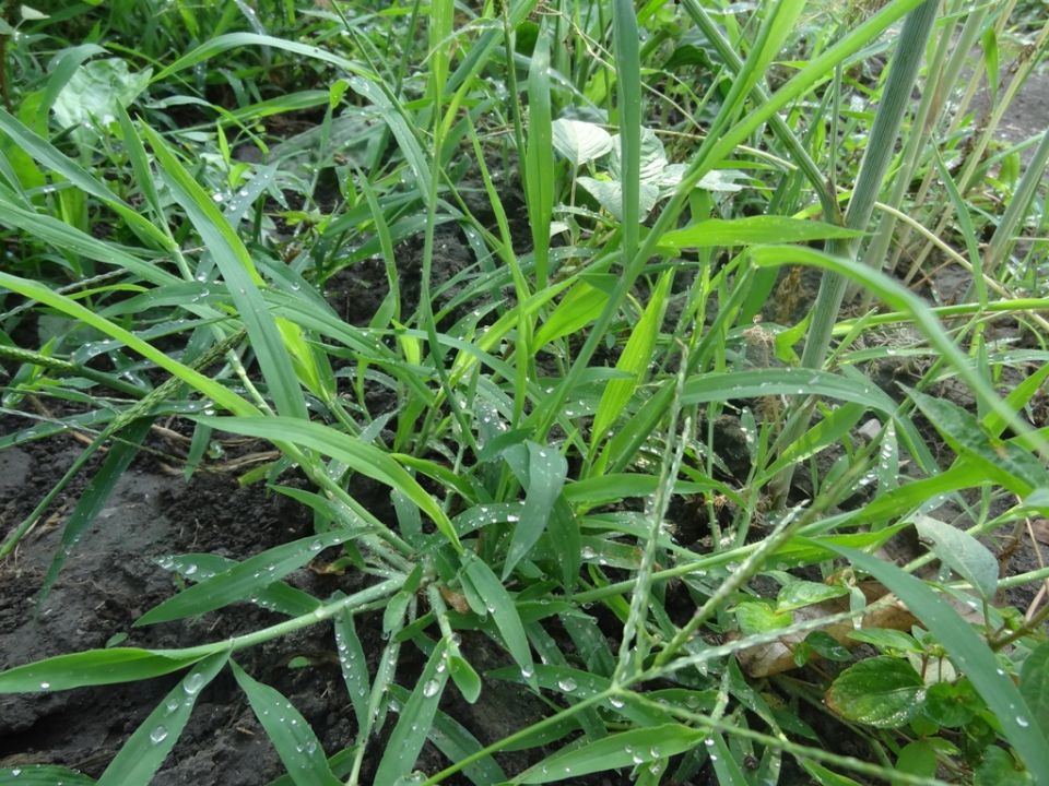 ����������� ������� ������ � ������: ������ ��� ���������