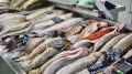Красноярские рыбные рынки: кто стал фаворитом среди покупателей?
