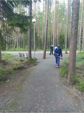 Колыхматова: Дала поручение начать в Петрозаводске акарицидную обработку!