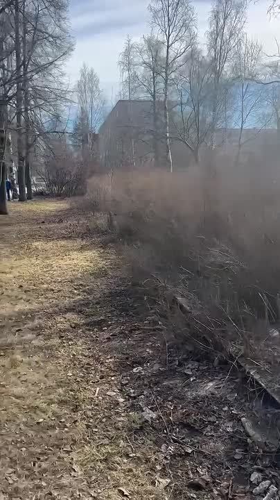 ����� �����������: ��� �������������� ������� ������� ��������������� ���������� � ����� �������������