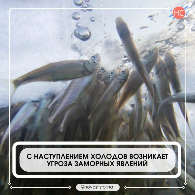 ��������� ������ �������: ��� ������ ����� �������� ������ ����������