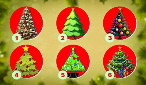 ��� ����� ���������� ���� ����� �������� ���� ��������