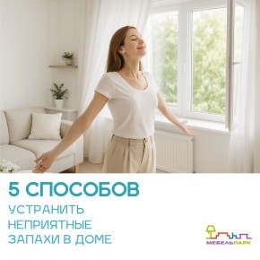 Способы борьбы с неприятными запахами в доме