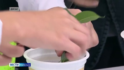 ������� ����������� ���� ������ �� ������� � ������� ����������� ������� �� �������� ������������������� �������