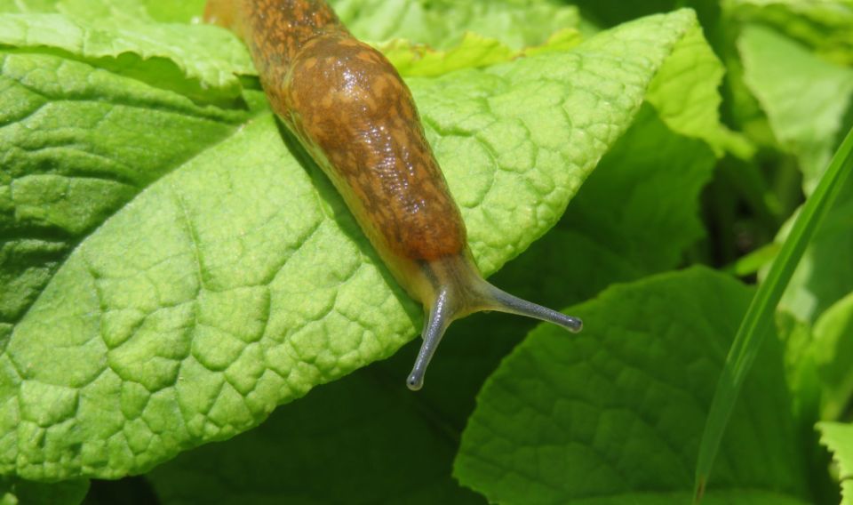 ������������� ������ � �������: ��� ���������� �������� ������ ������ �������