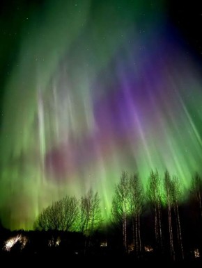 �������� ���� � ���� 9-10 ������