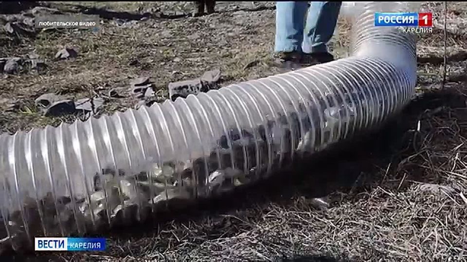 ����� 34 ������ ������ ������ ��������� � ���� ���