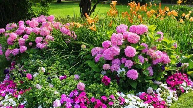 ����� �������������, ������� ������ ���������� ������ ����