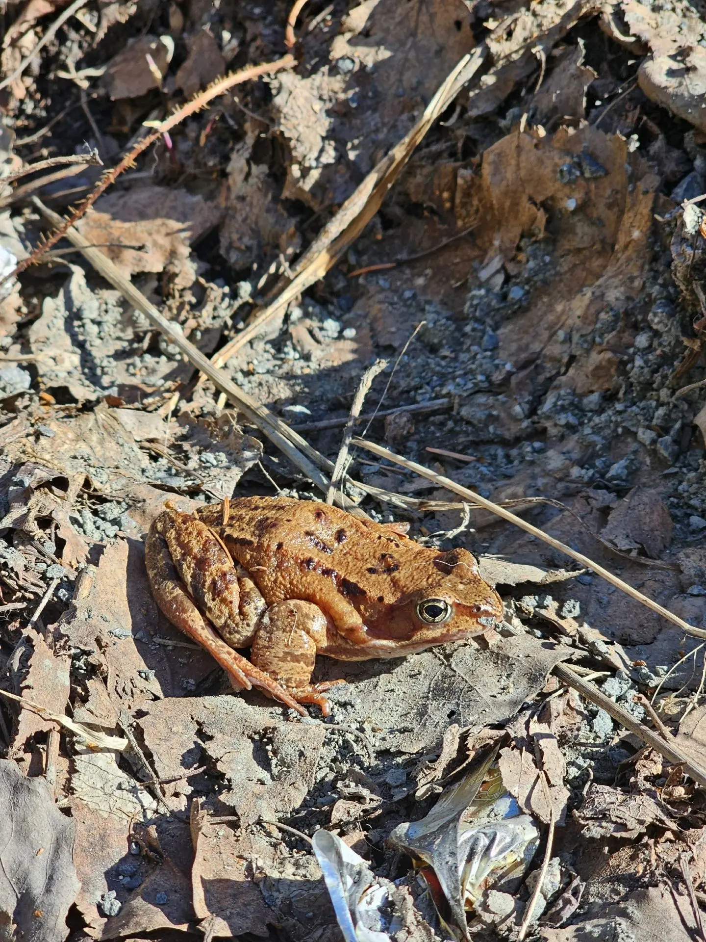 Фото Марии Ореховой Фото Марии Ореховой