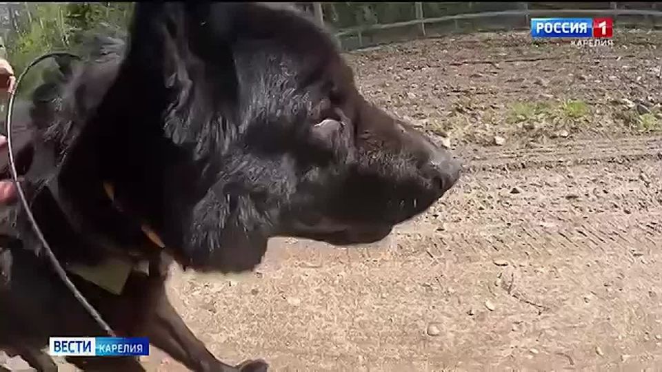 ����������� ���������� ��� ������ �� ���������� ������� ��������� �������� ���������