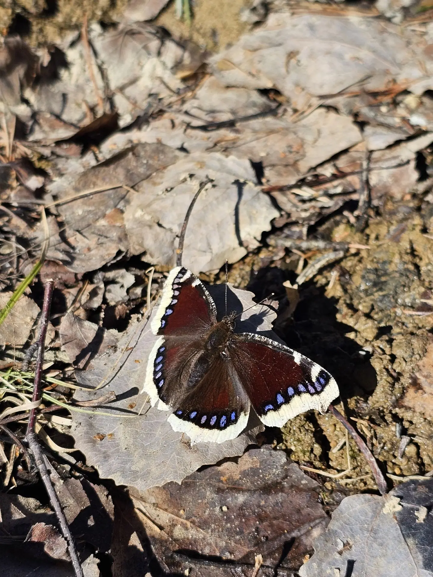 Фото Марии Ореховой Фото Марии Ореховой