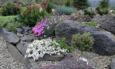 ��� ���������� ���������� ����� � �������� ��� � ������