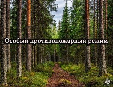 ��������: ������ ��������������� �����