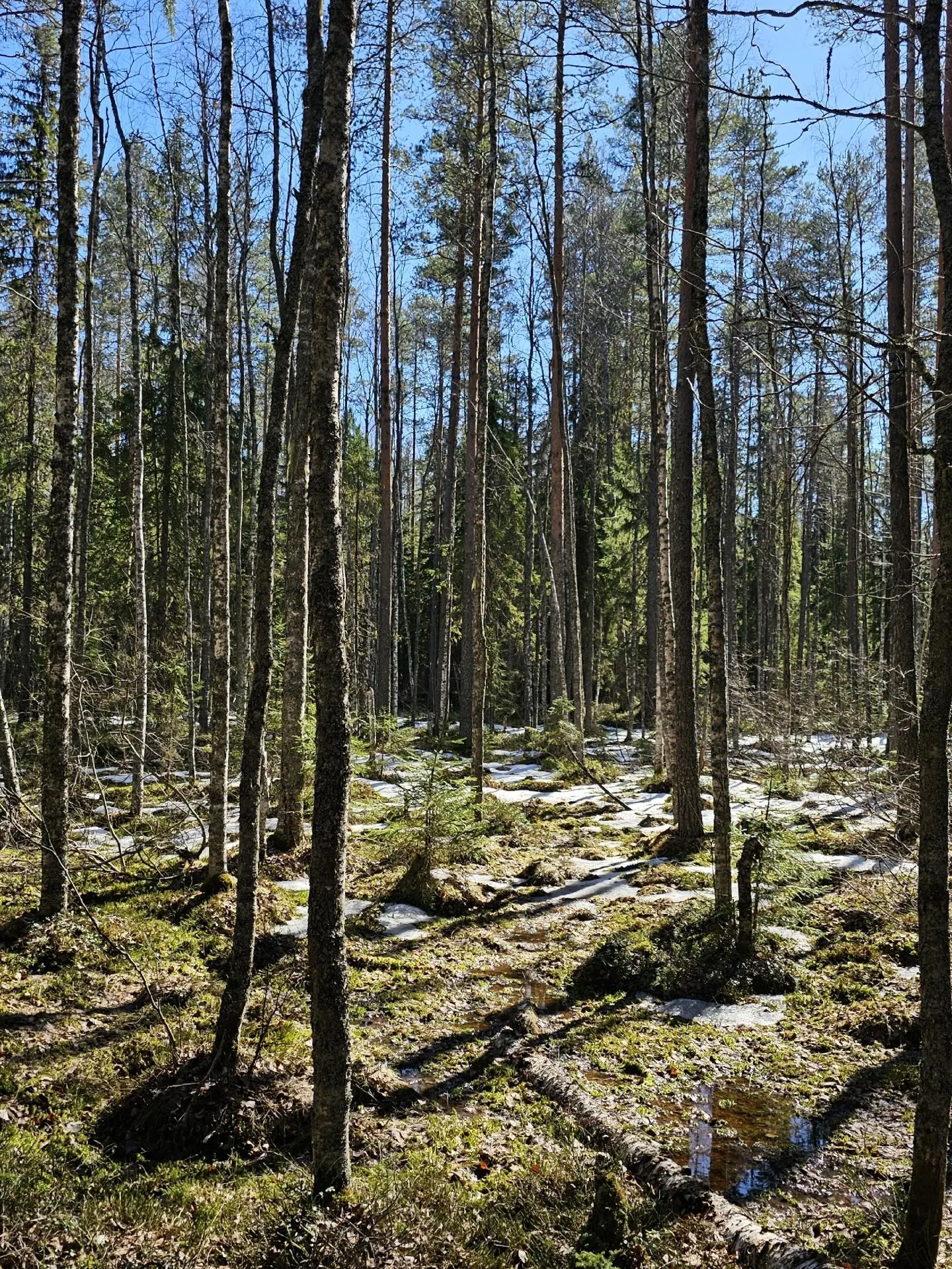 Фото Марии Ореховой Фото Марии Ореховой