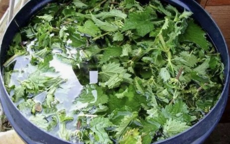 ����������� ��������� ��� �������: ������� ��� ������ ������ � ����