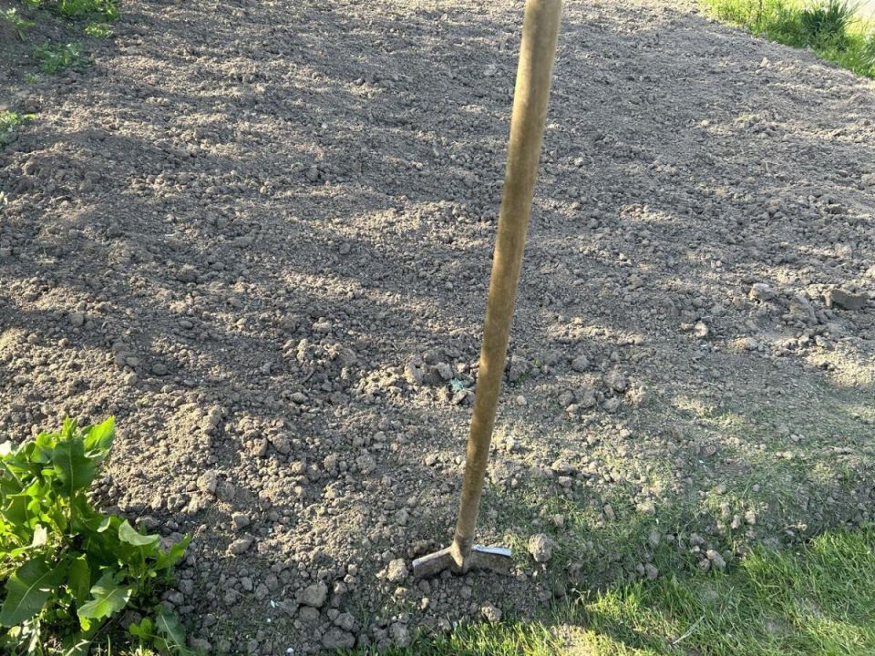 ��� ������� ��������� ����� ����������� � ������ ��� ���������