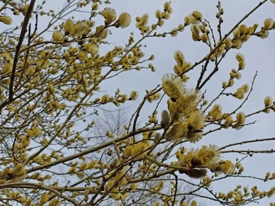 Фото Светланы Прохоровой