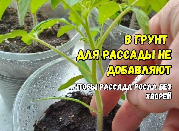 ����� ��� �������: ������ ��������� ������� ����� ��������� ���������