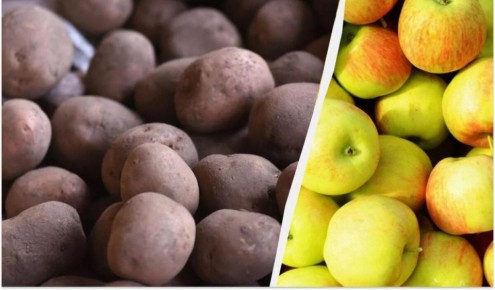 Как сохранить картошку свежей и без ростков: секреты экспертов