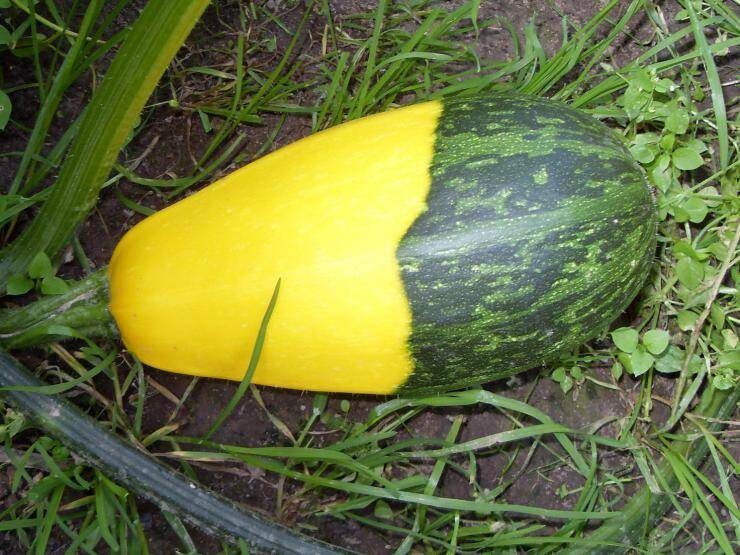 ������� �� ���������: ����� ����� ��������� �������, � ����� ������������