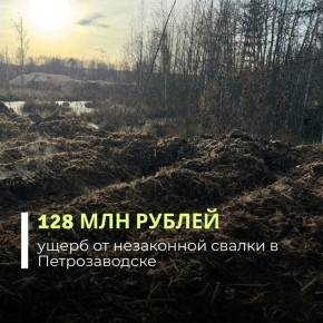 Инспекторы Балтийско-Арктического межрегионального управления Росприроднадзора провели выездное обследование земельных участков в микрорайоне Соломенное в Петрозаводске и обнаружили там стихийную свалку