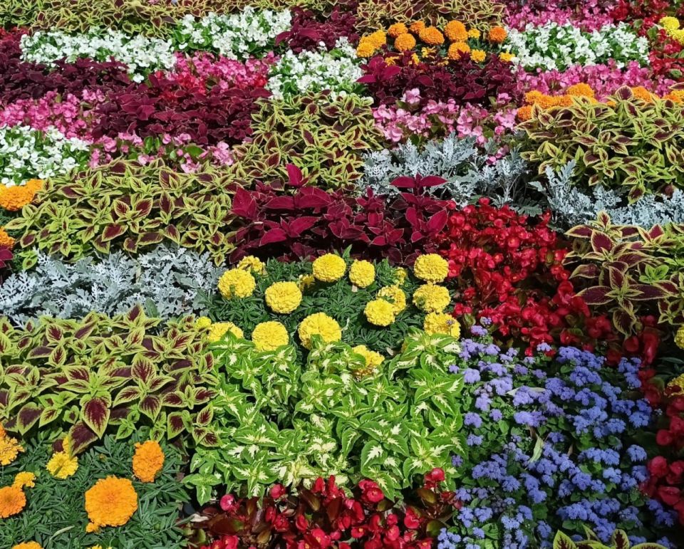 � ������������� ������� ������ ������� �� ���������� ���������� ���� ��������� ������������, �������� ����� ������ ���� �����������