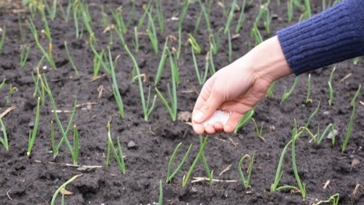 ��� ����������� �� ������ ��������� ���� � �������� ������� ������