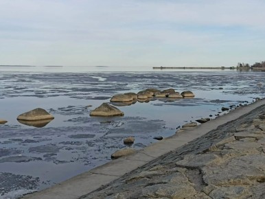 ����������. ���� �������� ����������