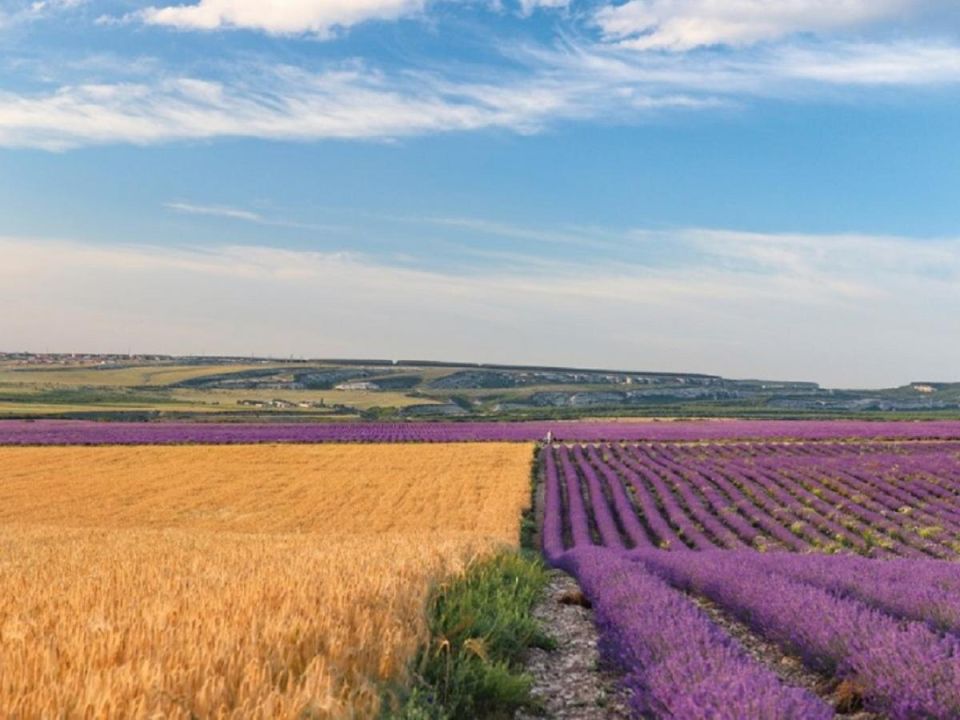 �������� ����� � ����� ����: ���������� ������ � ������