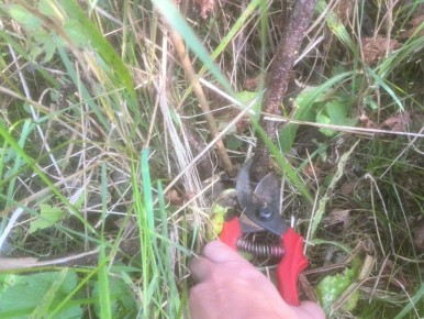 �������� ������� ���������: ������� ����� �� ������� �����������